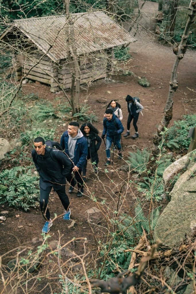pexels-photo-7624987 People Hiking in a Forest